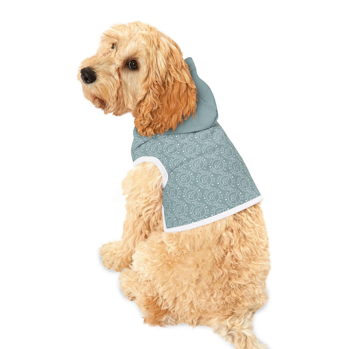 Doxie Collection Teal Pattern Pet Hoodie