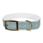 Doxie Collection Teal Dog Collar