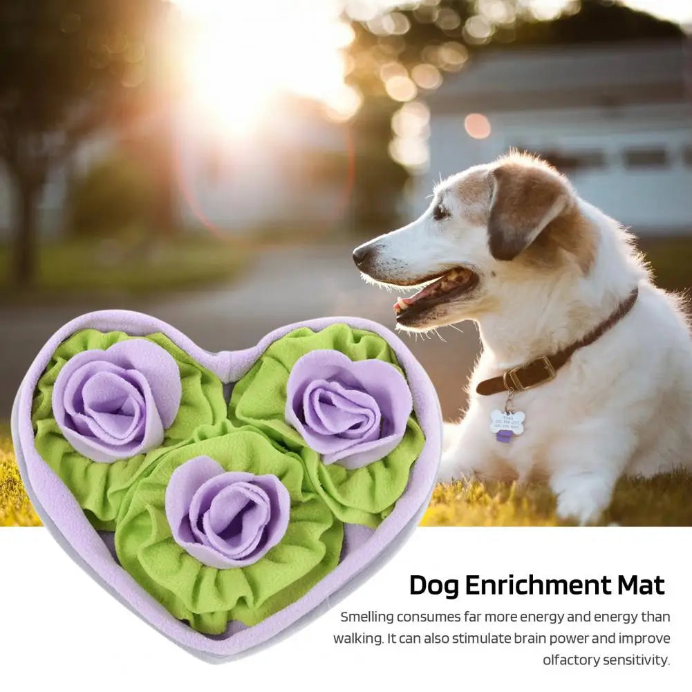 S6437e55a6eb0473d9307d8a2d17f27bfV